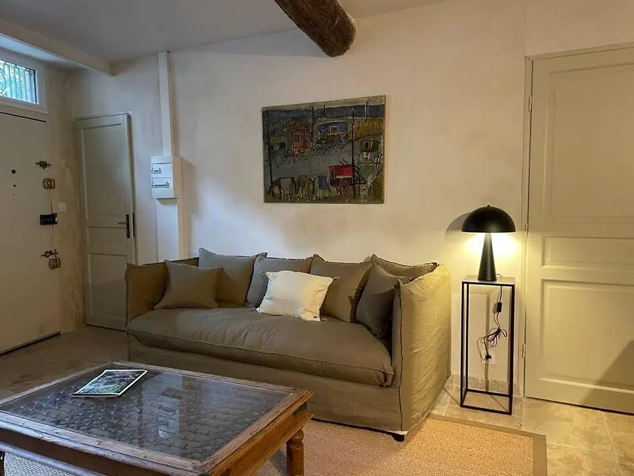Charmant Pied A Terre Arlesien, Rez De Chaussee Lejlighed Frankrig